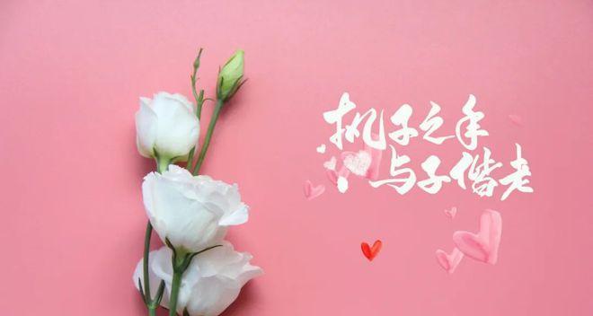 《一生相伴，不离不弃》
