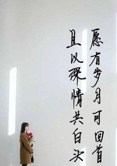 追寻内心的情感力量（敬业的唯美句子经典语录）