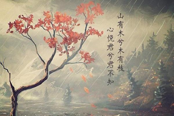 山之美（大自然给予的神奇之美）