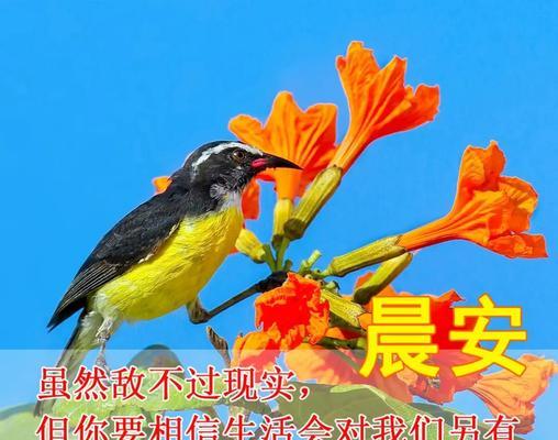唯美句子经典（唯美句子经典）