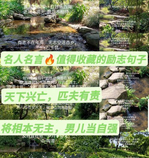 设计中的唯美短句（探寻设计师的经典名言和唯美短句）