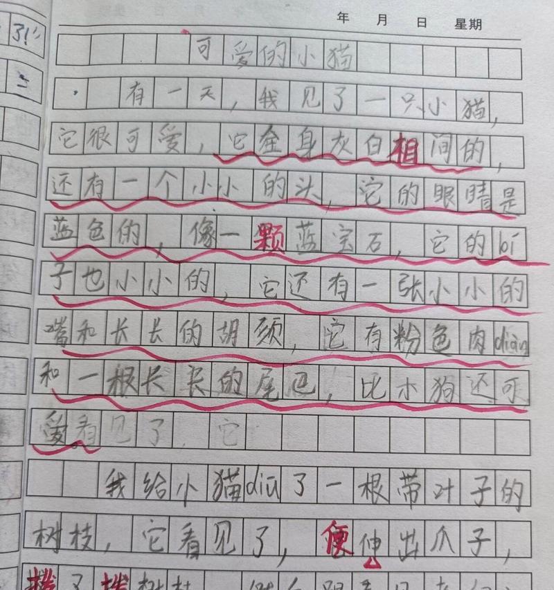 有关小满和她的小猫咪作文的作文怎么写（《春意盎然，心之伴》）