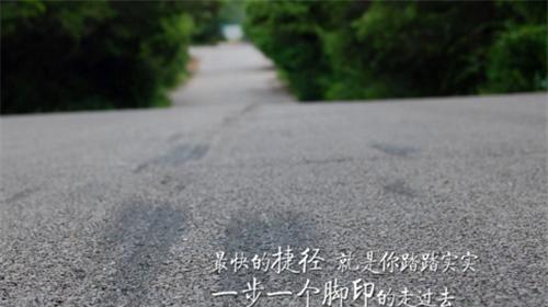 红绿灯下的人生意义（唯美句子）