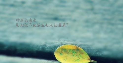 红绿灯下的人生意义（唯美句子）