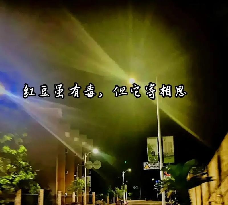 纯情梦境：相思红豆