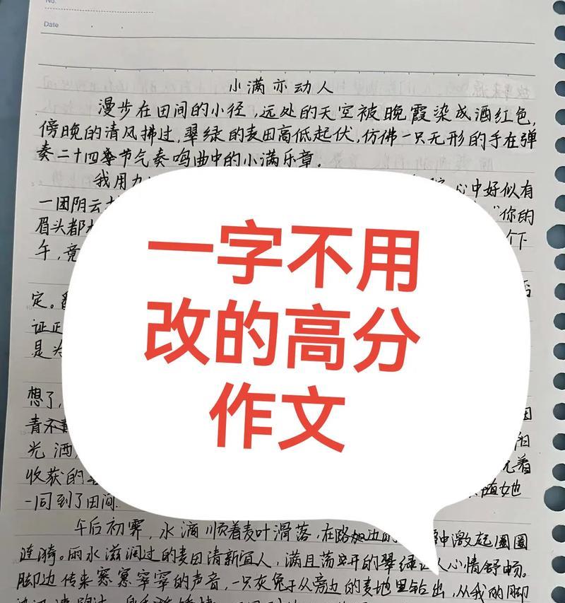 关于小满的中考满分作文作文怎么写？（《小满时节的智慧种子》）