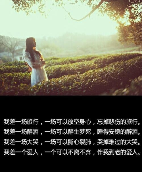 醉酒的经典唯美句子（那些关于醉酒的美丽瞬间）