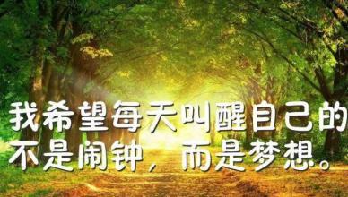 逆境重生，唯美励志（坚持）