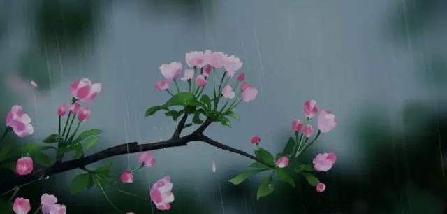 雨后的唯美（清新）