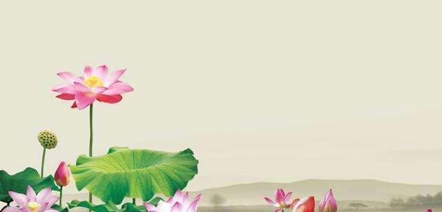 唯美短句串联，纵览莲花之美（唯美短句串联）