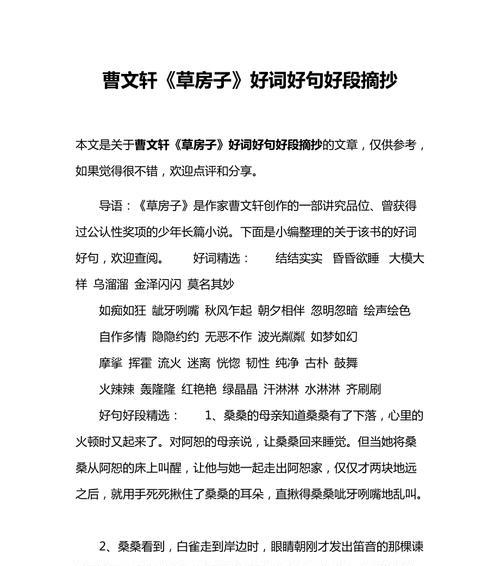 《稻草人的勇气》（坚定信仰）