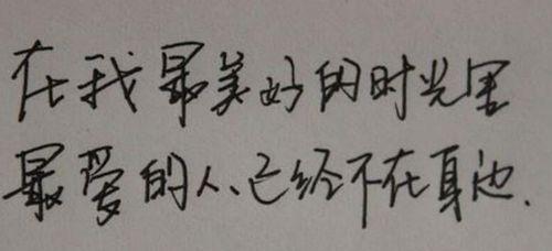 励志之花绽放在心间（短句集锦致敬诗歌之美）