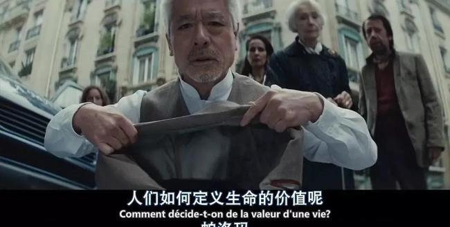 刺猬优雅之美（这个小小身躯中蕴藏的高贵）