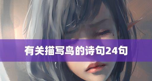 在飞行中感受生命的美妙（在飞行中感受生命的美妙）