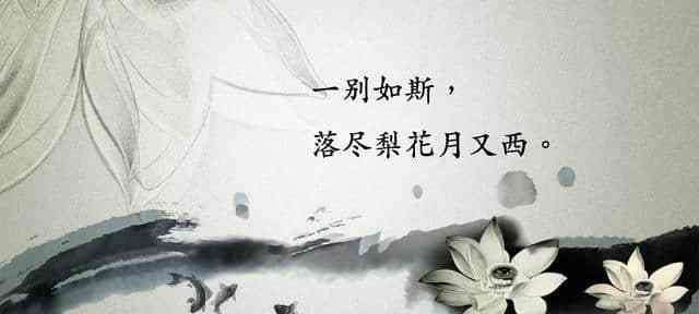 步入月夜，静享清幽（步入月夜）