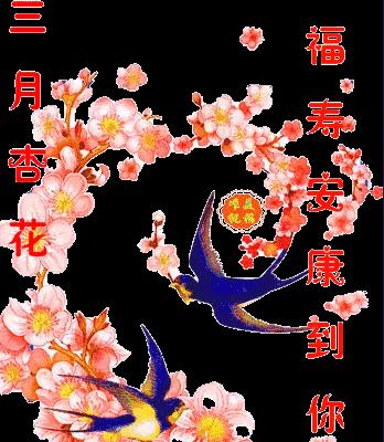 愿你健康平安，永不言弃（用古人诗句）