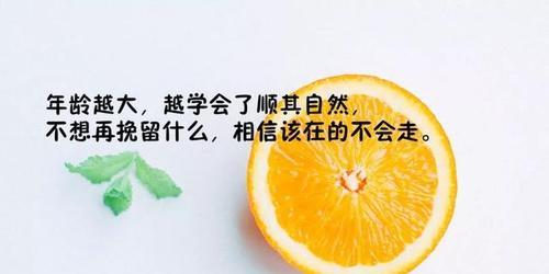 等待的哲理（时光静好）