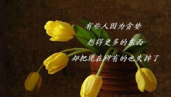 等待的哲理（时光静好）