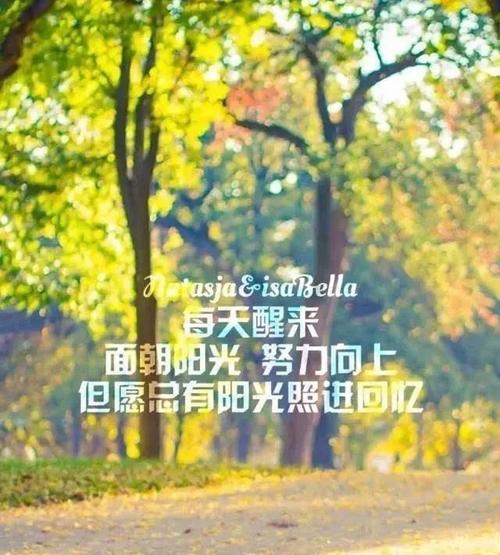 力量与美（正能量佛系唯美句子）