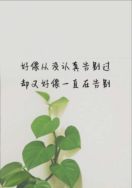 最美的相遇——永恒的记忆