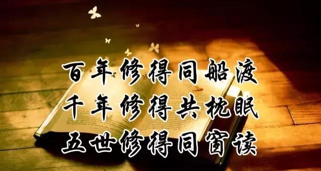 同学情谊——珍贵的人际关系（聚散离合）