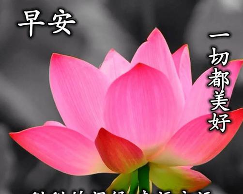 三月春天的美丽和温柔（三月春天的美丽和温柔）