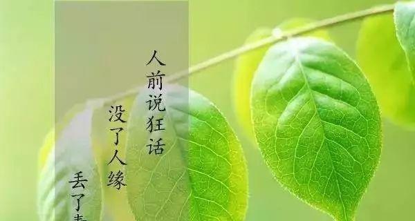 飞扬的文字，令人陶醉（一个文笔好的人）