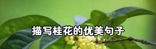 妙笔生花，尽显瓯李之美（妙笔生花）