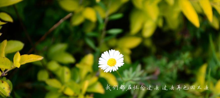 怀旧（寻找岁月的记忆）
