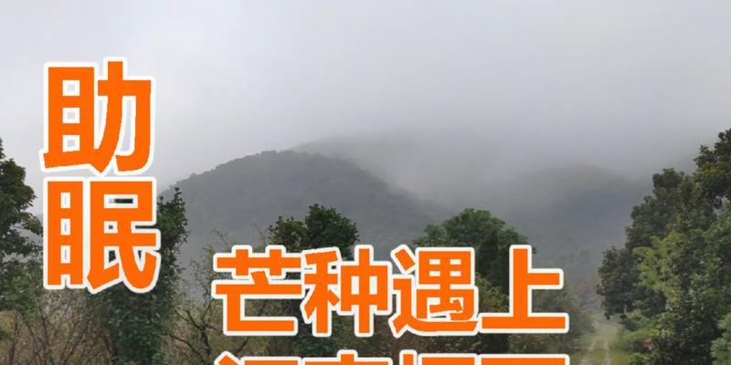 有关芒种的作文800字（《芒种江南，一场夏雨后的复苏》）