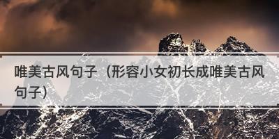 风·唯美之美（吹走尘埃）
