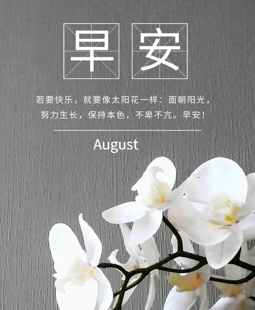 早安，清晨的美好时光（给你的一天注入正能量）