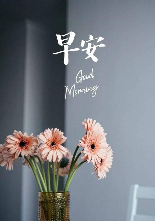 唯美短句，送上温馨早安（唯美短句）