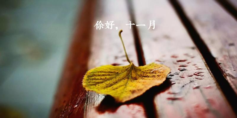 《十一月，对我好一点》