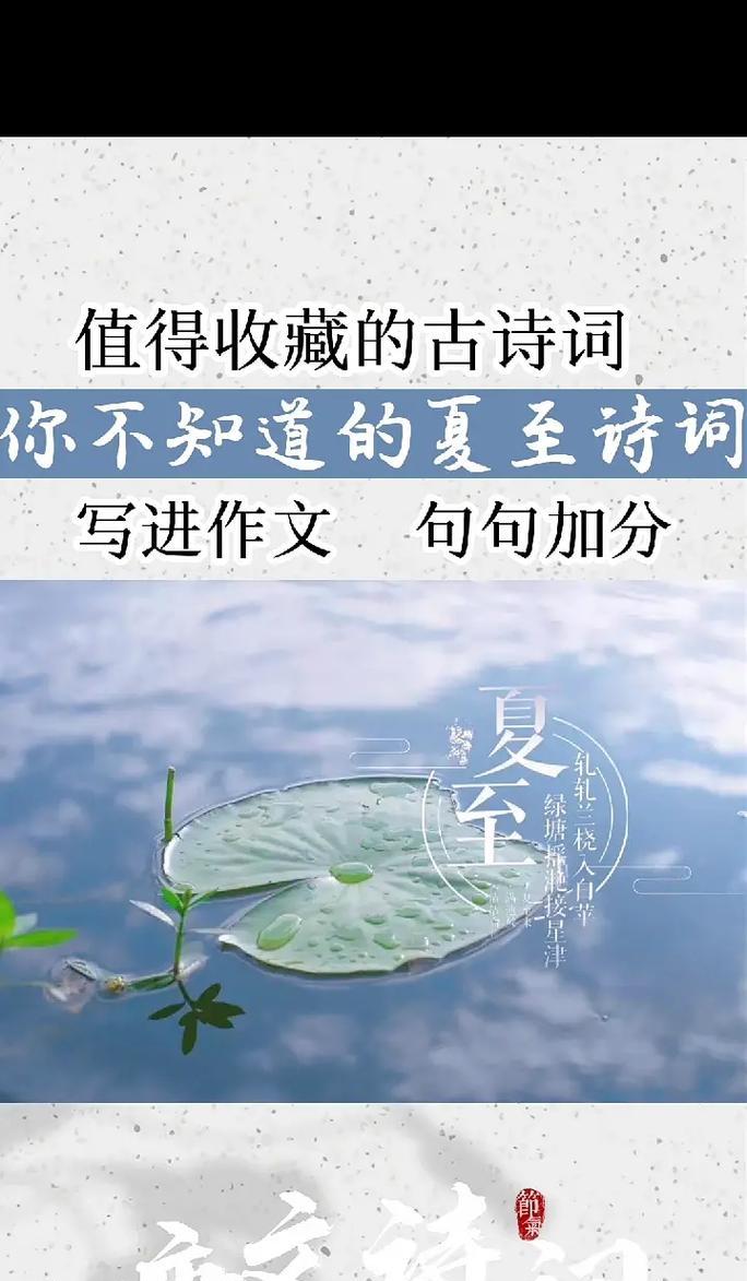夏至的景物特点是什么（《夏至，阳光洒满希望》）
