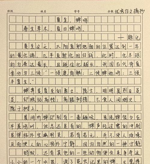 有关参与夏至活动的感受作文的作文怎么写（《阳光下的誓言——夏至节的青春旋律》）
