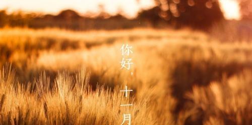 秋风拂面，心灵迸发芬芳（秋风拂面）