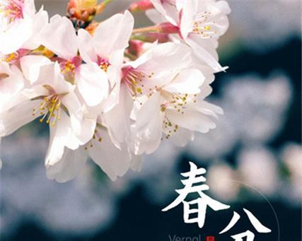 春分观花（观赏春分时节的万物之美）