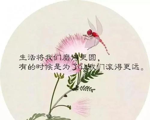 冬日瑰丽：寒冬里的美好