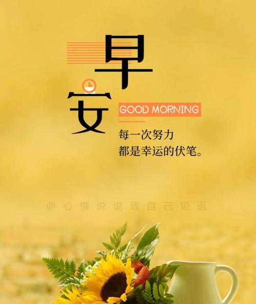 未来之光，阳光般的日子（2024最新一句话早安正能量语录）