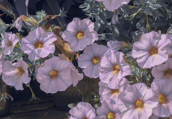 静待岁月之流，别离时才懂珍惜（静待岁月之流）