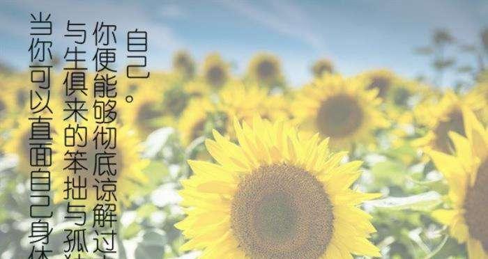 走过做错事的阴影（感悟错事的人生）