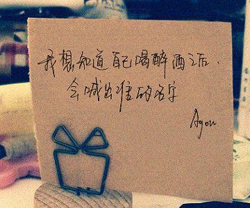 《醉美狂想》 《醉美狂想》