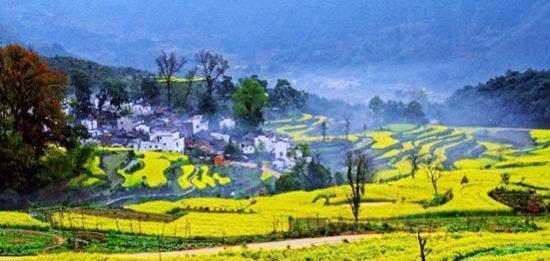 春色满园，花开满山（春色满园）