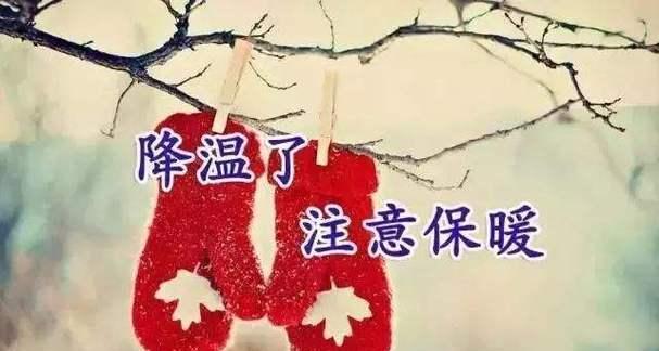 天寒暖心——以天冷的暖心唯美句子简短为主题写的文章（寒冬融化心情的美好短语）