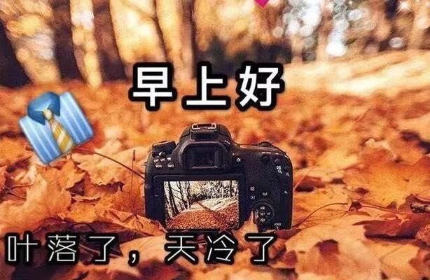 天寒暖心——以天冷的暖心唯美句子简短为主题写的文章（寒冬融化心情的美好短语）