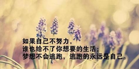 携手共创美好未来（携手共创美好未来）