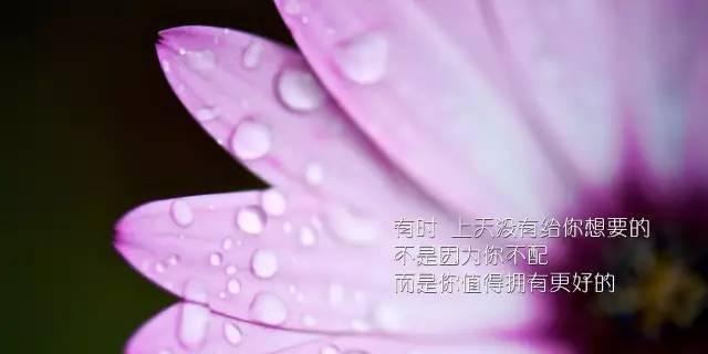 静谧的文字，唯美的情感（内涵个性签名短句集锦）