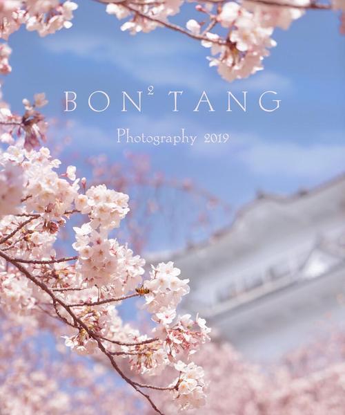 用25个短句感受樱花的美丽（用25个短句感受樱花的美丽）