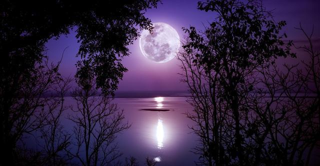 夜晚的唯美之美(一朵朵花开在夜色中) 夜晚的唯美之美(一朵朵花开在夜色中)